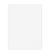 BLNK9X1210 - Blank 9 x 12 Envelope