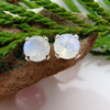 Blue moonstone stud earrings sterling silver 6mm 