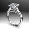 Mobius Twist Cathedral Engagement Ring