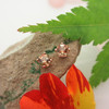 14k Rose Gold Stud Earrings with Copper Andalusite