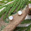 14k yellow gold stud earrings with blue moonstone