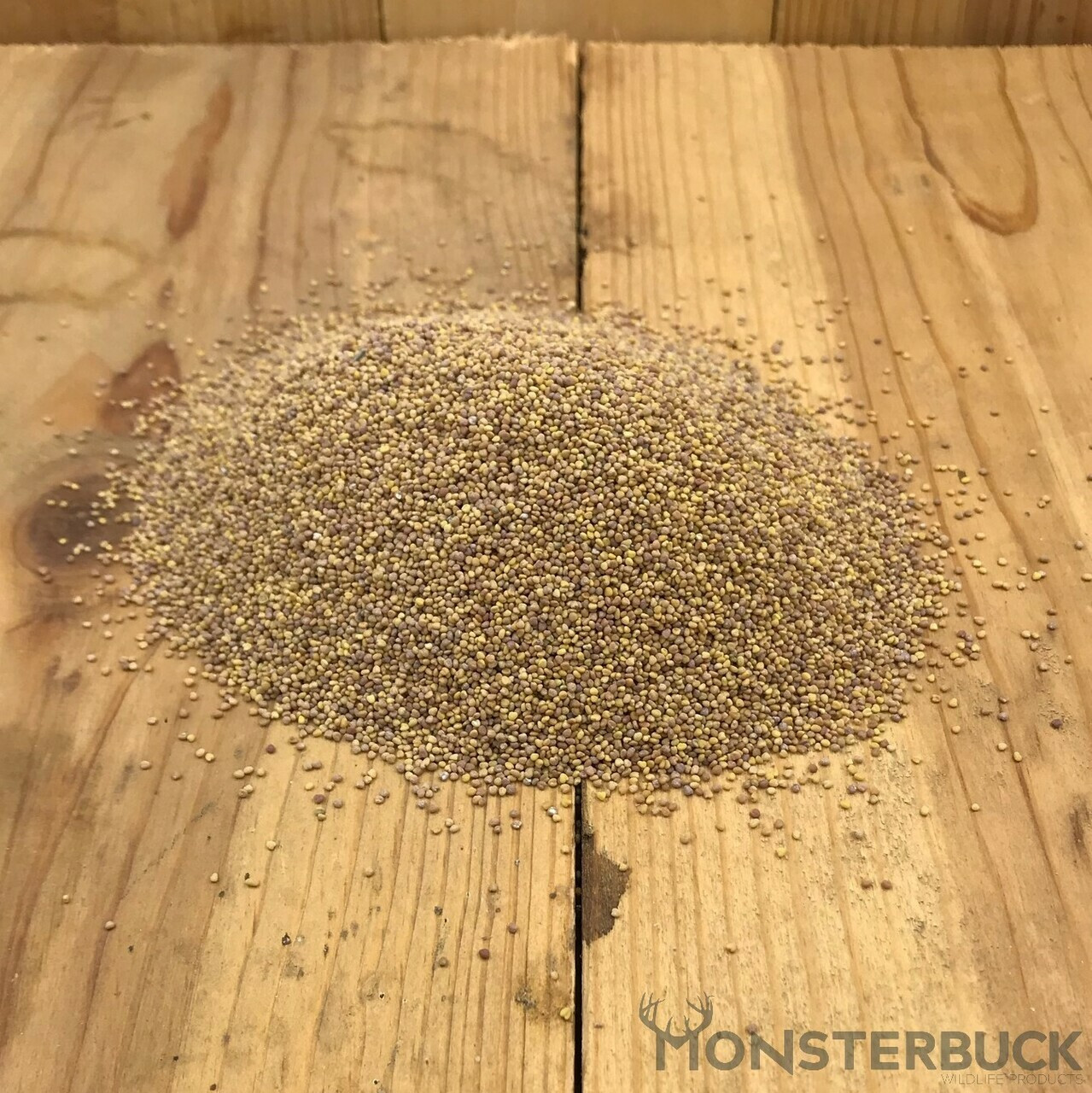 White Dutch Clover Food Plot Seed
