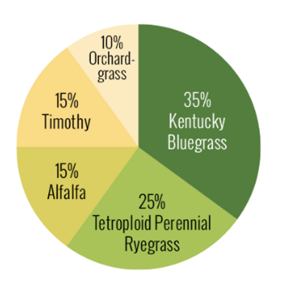 Breakdown of the types of grass seeds in the Horse Pasture Mix