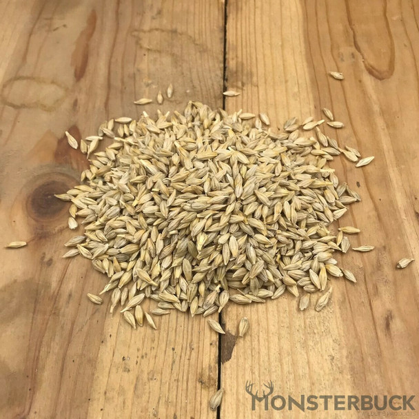 Barley Food Plot Seed