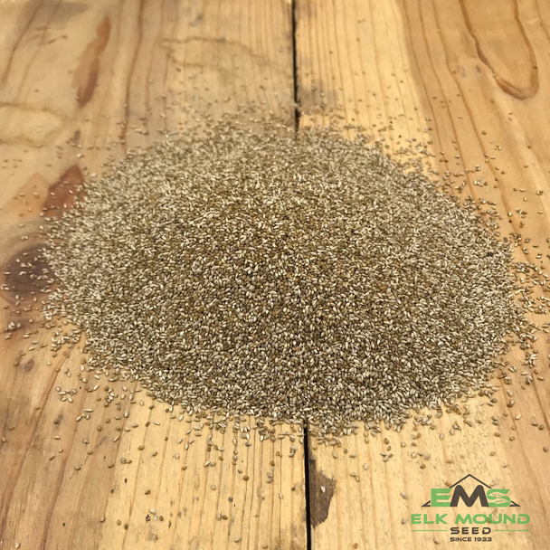Timothy Grass Seed Picture