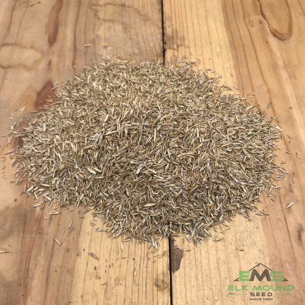 Horse Pasture Forage Seed Mix
