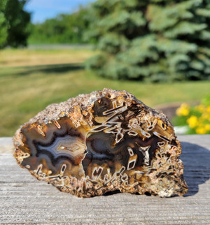 Turkish Stick Agate 9.7 oz