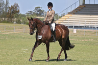 WHE Stitched Number Holder White Faced , used on It's Time To Party, winner at EA NSW State Cup Show , with Jess Stalling.