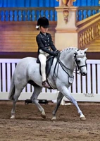 The Nationals 2015, Photo with WHE Patent Leather Noseband and Number Holder. Photo courtesy of Jess Stalling Photography Credit to Angie Rickards.