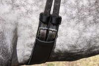 WHE Sleeved Show Girth.