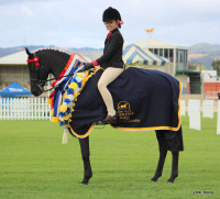Kiarah Taylor, riding her ''Regal Romance of Class'', 2019 Adelaide Royal Autumn Show. 
SUPREME CHAMPION RIDDEN RIDING PONY and SUPREME CHAMPION RIDDEN AUSTRALIAN SADDLE PONY looking superb in their White Horse Equestrian bridle. Photo  credit Vicki Young