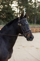 Imperial Collection Classic Work Bridle