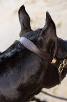 Imperial Collection Classic Work Bridle
