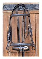 Omega Work Snaffle