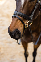 The 'Mock Croc' Snaffle Bridle