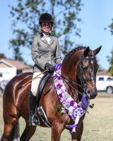 Leia Brownings' beautiful Hunter showcasing our Aus Classic Weymouth. Nappa Padded reins have been added to this bridle by Leia.