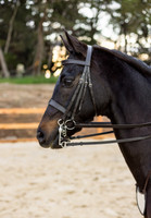 Fine Stitched Classic Weymouth Bridle