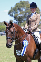 Fine Stitched Classic Weymouth Bridle in Dark Brown, shown here on It's Time To Party at the EA NSW State Cup 2014
NB: The browband is not standard and  this ribbon browband does not come with this bridle. Note the matching bridle , number holder and girth!
