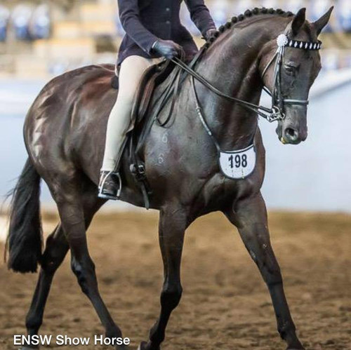 Renae Dorneys' , Back In Black, with a WHE Number Holder demonstrating that adjustment on either side of the neck is possible.