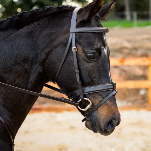 Newcomer Classic Snaffle Bridle