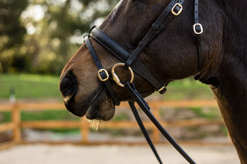 The 'Mock Croc' Snaffle Bridle