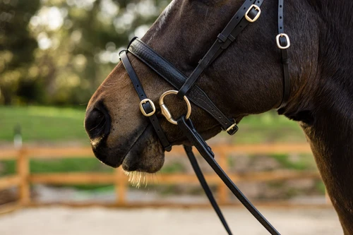 The 'Mock Croc' Snaffle Bridle