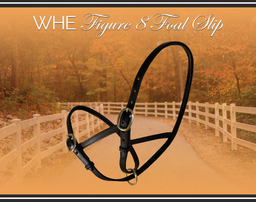 Leather Figure 8 Foal Slip.