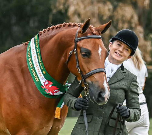 Kelly Ralphs' KL  Resignation crowned in our Imperial Collection In Hand Bridle.