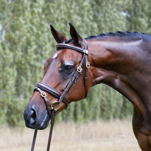Imperial Collection Classic Work Bridle