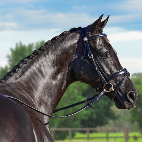  Omega Work Snaffle with 'Diamond Stitched' Nappa Padded Reins.