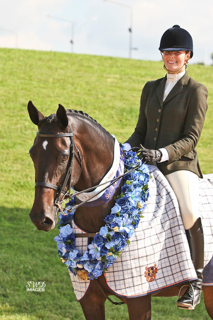 Pic Shows Miss Bree Orfords WES Merlin in a WHE Fine Stitched Classic Weymouth Bridle.