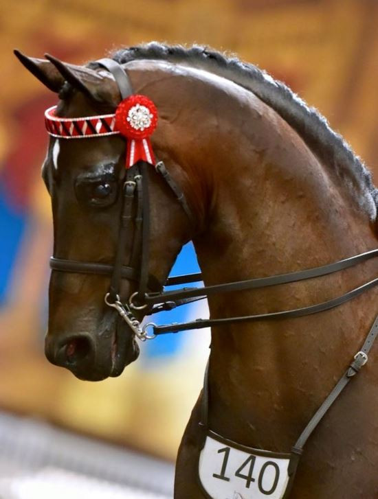 The Nationals Werribee Victoria, Photo with WHE Number Holder. Photo courtesy of Jess Stalling Photography Credit to Angie Rickards.