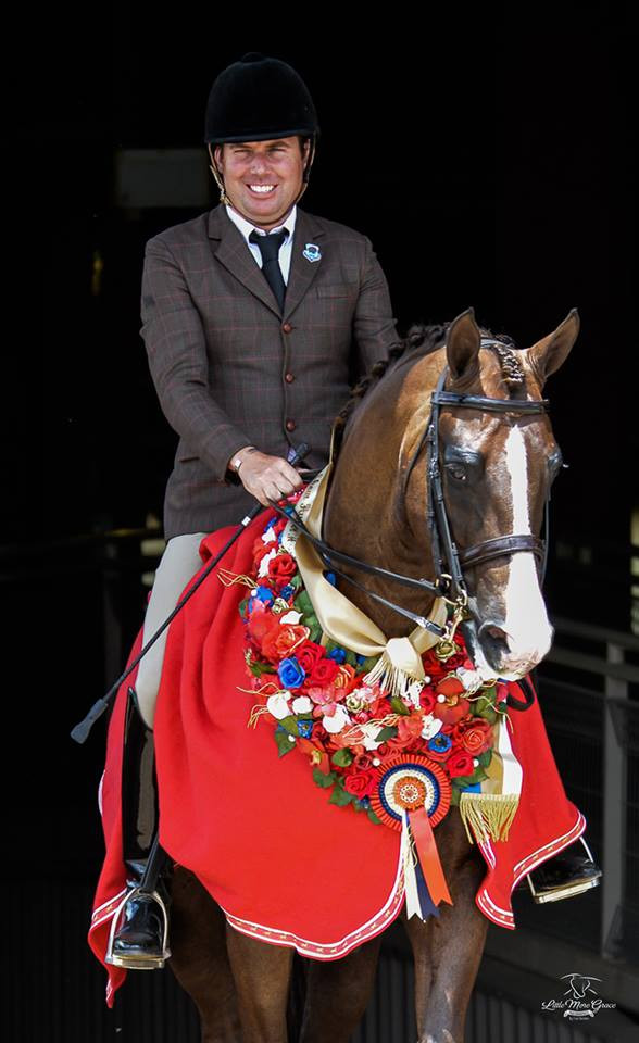 Saige Partners Pacific Coast Large Show Hunter Champion, W Ellington, owned by EB Lodge Performance Horses. Showing WHE Patent Leather Noseband and Browband (0136). Both in our Havana / Dark Brown.
Photo credit is LMG Photogrpahy.