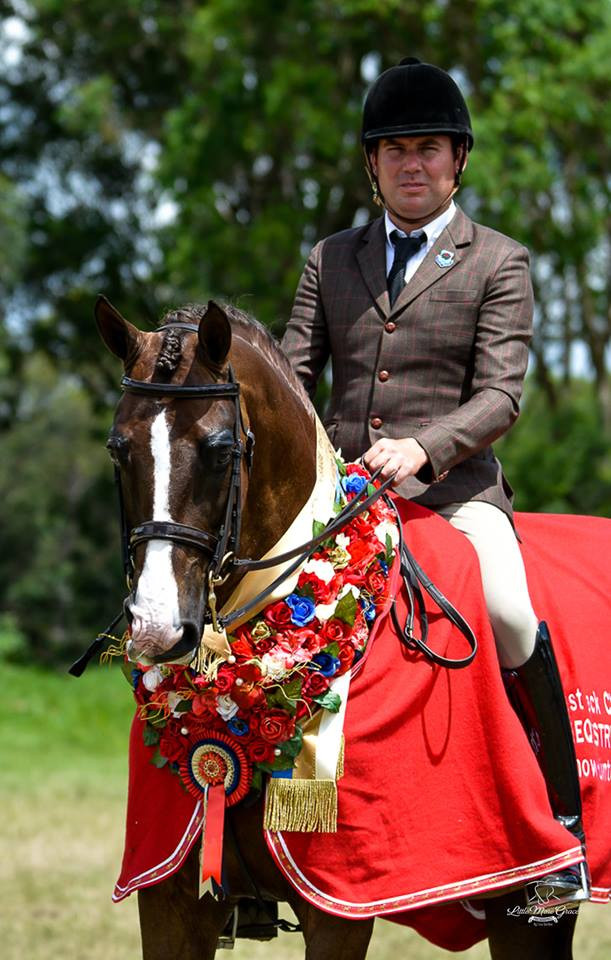 Saige Partners Pacific Coast Large Show Hunter Champion, W Ellington, owned by EB Lodge Performance Horses. Showing WHE Patent Leather Noseband and Browband (0136). Both in our Havana / Dark Brown.
Photo credit is LMG Photogrpahy.