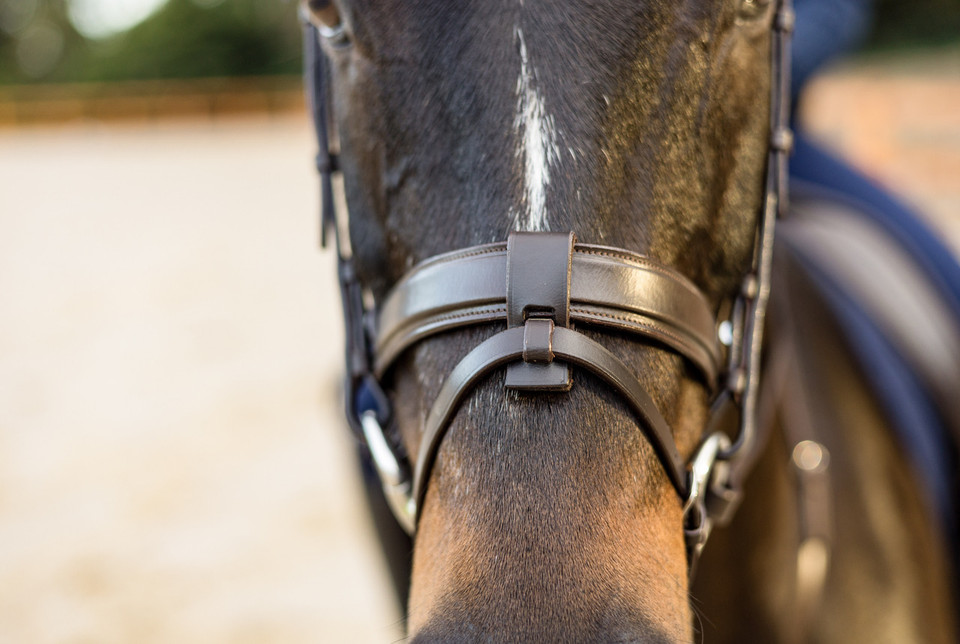 The Newcomer Snaffle Bridle