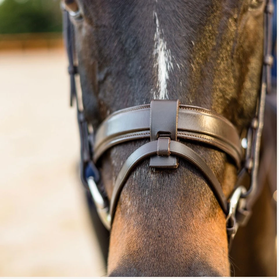 Newcomer Classic Snaffle Bridle