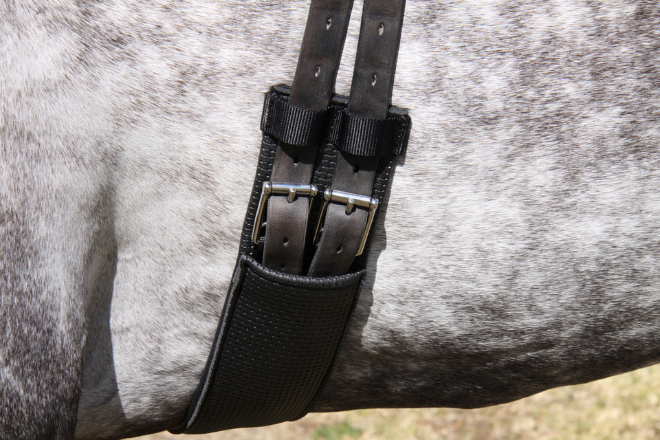 WHE Sleeved Show Girth.