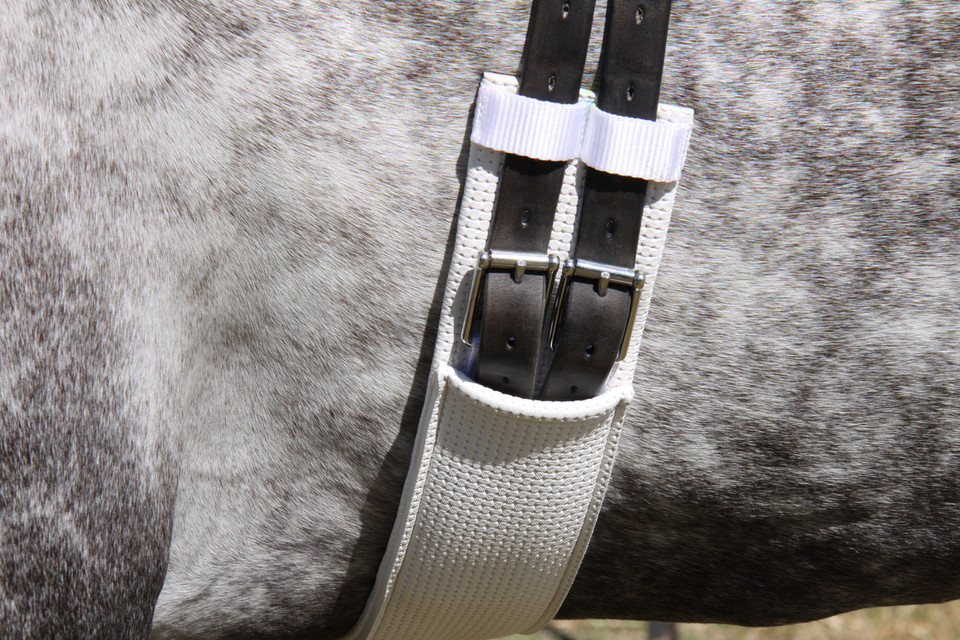 WHE Sleeved Show Girth.