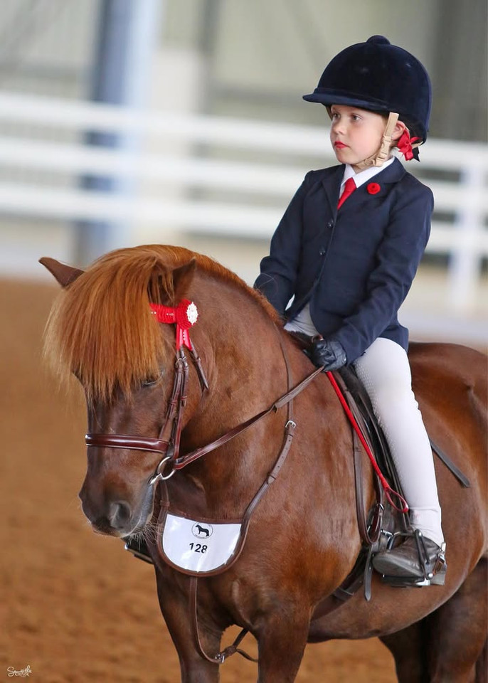 Here we have Dakoda Launer on Helenka Sharosa, wearing an Imperial Collection Snaffle in Aus Nut with matching Aus Nut Number Holder. Image courtesy Samantha Taylor.