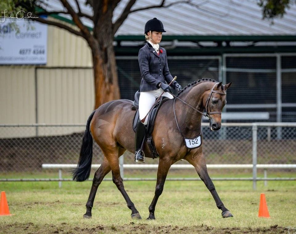 Imperial Collection Gold Crown Snaffle Bridle. Photo Credit Lisa Gordon, LMG Photographics.