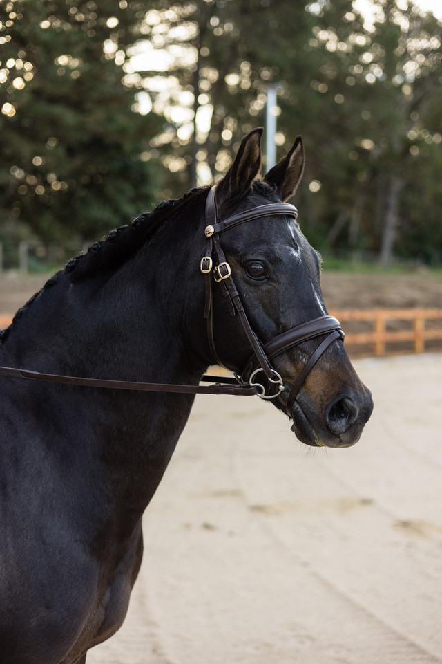 Imperial Collection Classic Work Bridle