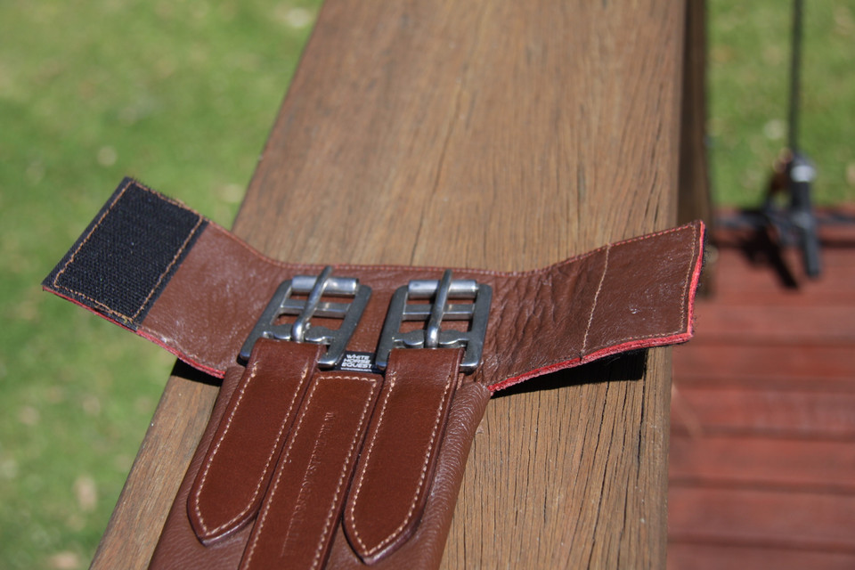 Luxury Leather Padded Oak Girth 75cm and 80cm