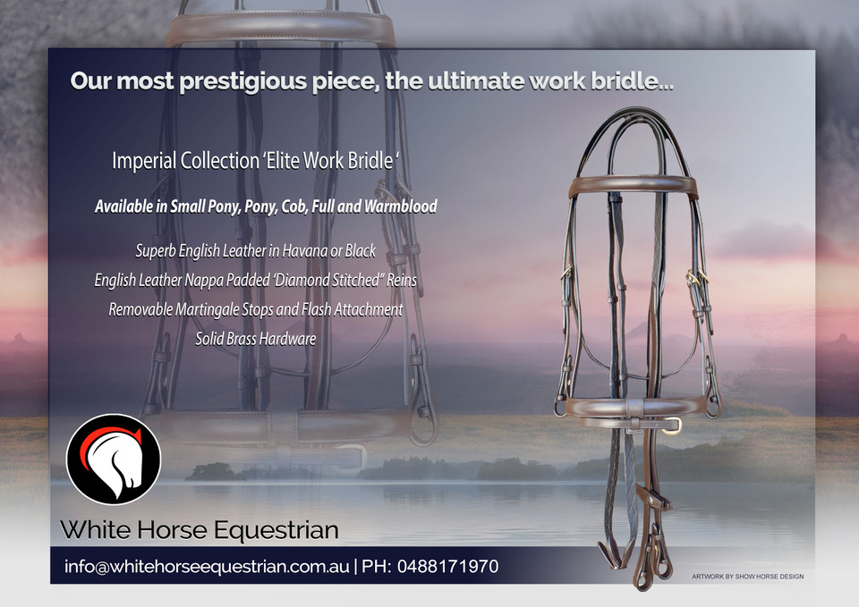 Imperial Collection Elite Work Bridle