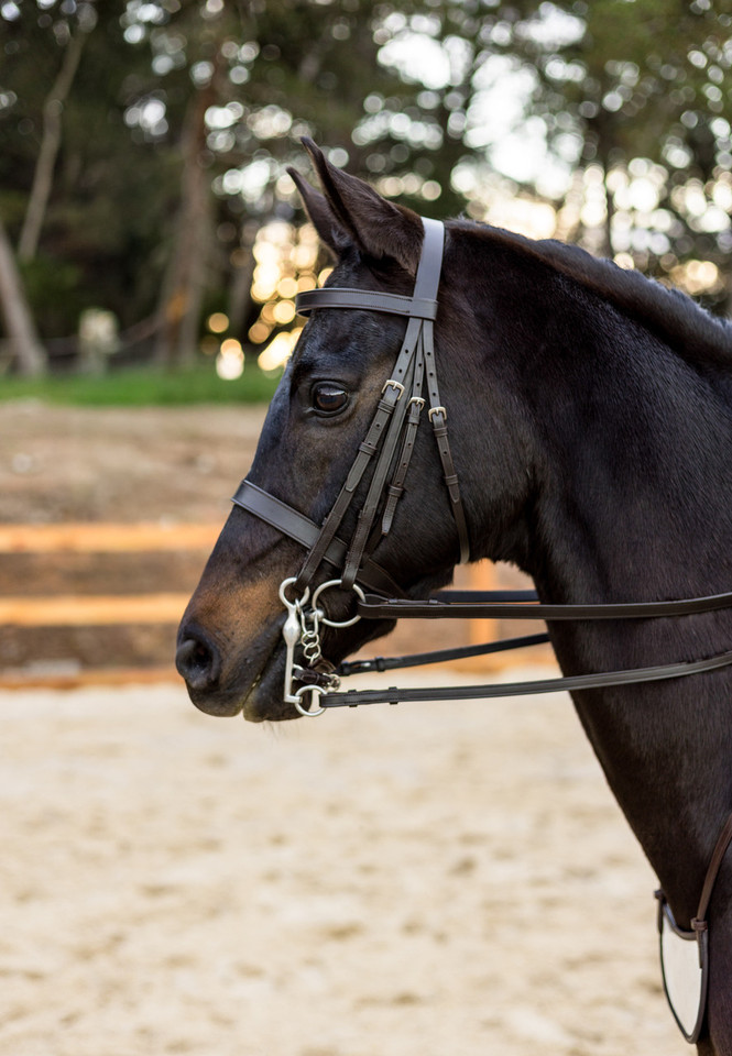 Fine Stitched Classic Weymouth Bridle