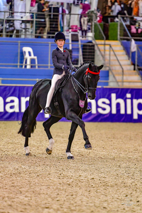 Kaitlyn Martin riding Divina at the 2018 Hufglocken Grand National Championships. Achieving Top 10 result. Bridle 3163 BYO in Warmblood and WHE  Number Holder, Photo Credit Lisa Gordon, LMG.