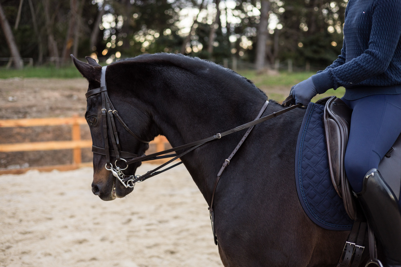 Childs Forked and Nappa Padded Reins