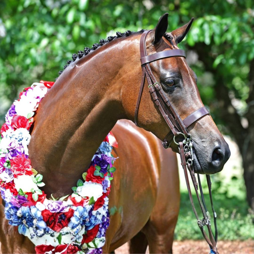 Imperial Collection Hunter Turnout Weymouth Bridle