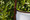 Aus Nut  colour pictured.