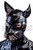Pup / Dog Hood