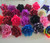 Latex Rose Hair Clip - the colour range